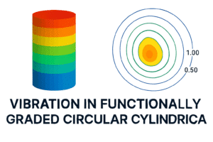 FGM vibration model